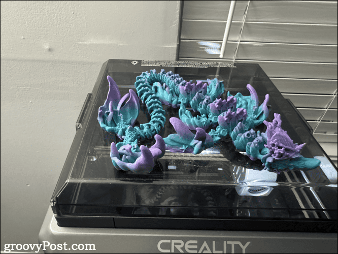 coral reef dragon coral reef dragon